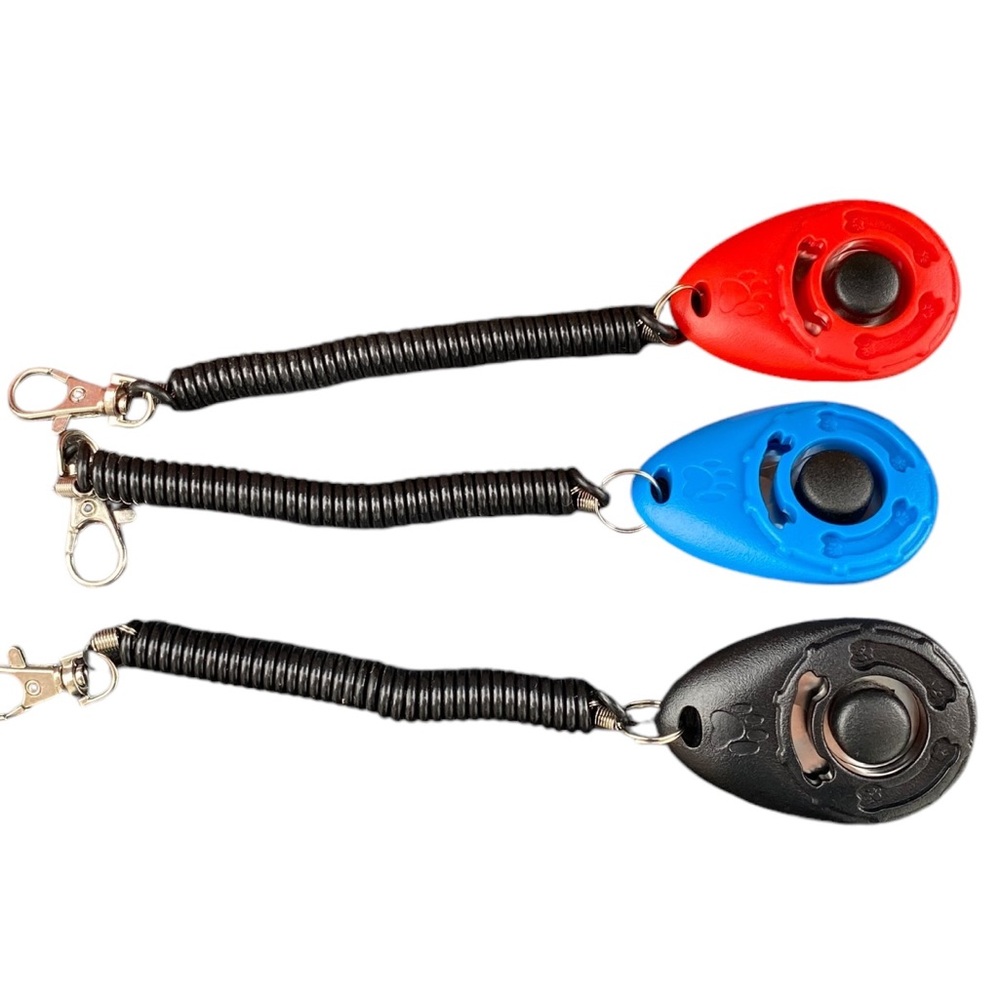 Dog training tools / items